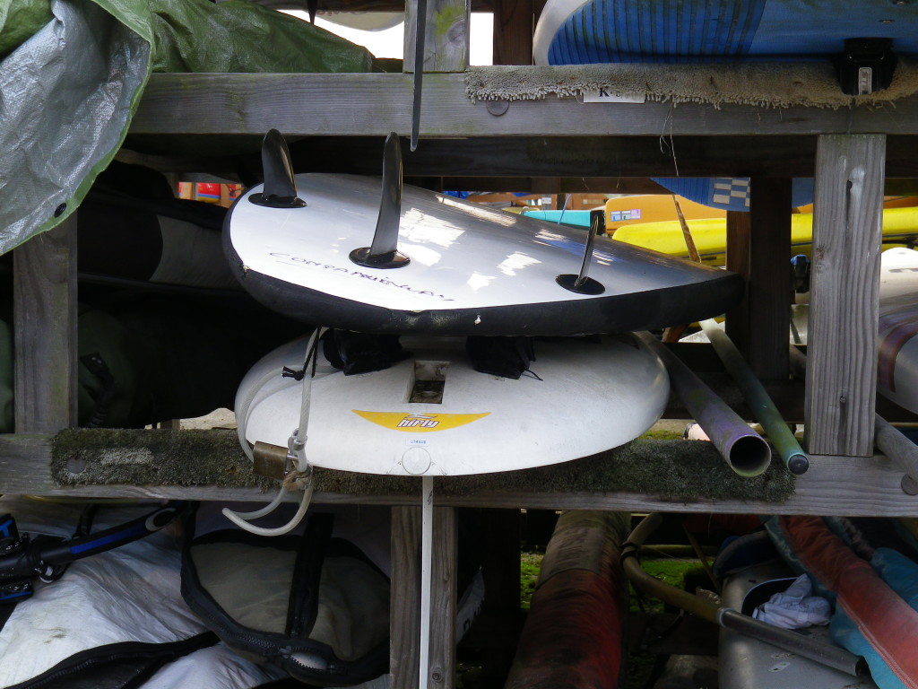 Windsurfing Sail Board COMPANIONWAY SAILING CLUB